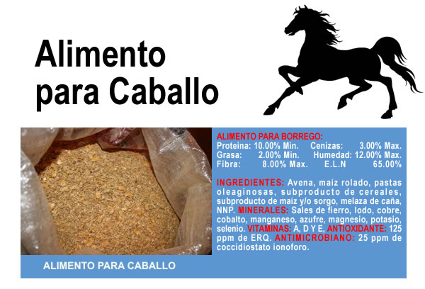 Alimento para Caballo