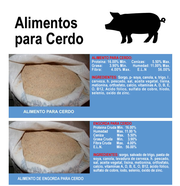 Alimento para Cerdo