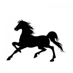 caballo