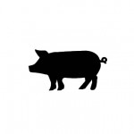cerdo